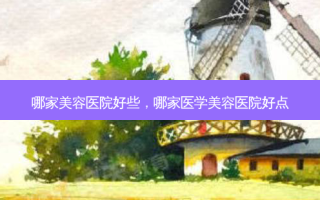 哪家美容医院好些，哪家医学美容医院好点