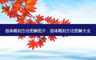 假体雕刻 *** 图解图片，假体雕刻 *** 图解大全