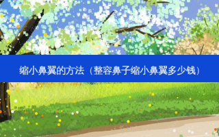 缩小鼻翼的 *** （整容鼻子缩小鼻翼多少钱）