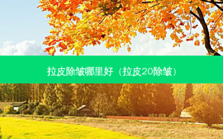 拉皮除皱哪里好（拉皮20除皱）