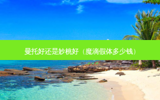 曼托好还是妙桃好（魔滴假体多少钱）
