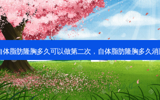 自体脂肪隆胸多久可以做第二次，自体脂肪隆胸多久消肿