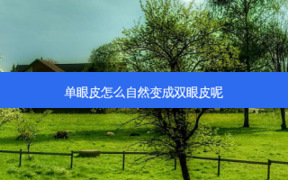 单眼皮怎么自然变成双眼皮呢