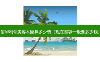 佰华利骨美容术隆鼻多少钱（现在整容一般要多少钱）