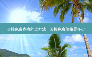 去掉疤痕疙瘩的土 *** ，去掉疤痕价格是多少