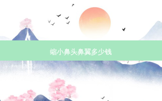 缩小鼻头鼻翼多少钱