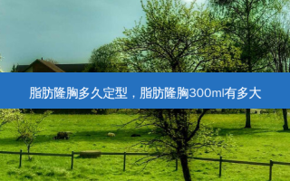 脂肪隆胸多久定型，脂肪隆胸300ml有多大