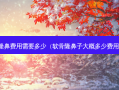 隆鼻费用需要多少（软骨隆鼻子大概多少费用）