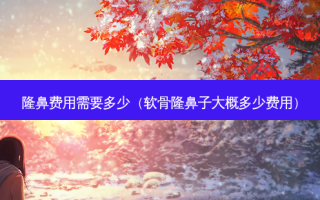 隆鼻费用需要多少（软骨隆鼻子大概多少费用）