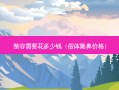 整容需要花多少钱（假体隆鼻价格）