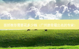 面部整形需要花多少钱（广州磨骨出名的专家）