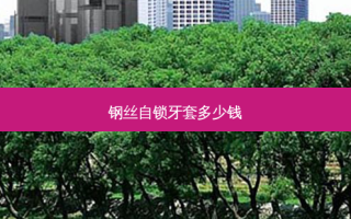 钢丝自锁牙套多少钱