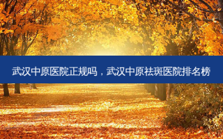 武汉中原医院正规吗，武汉中原祛斑医院排名榜