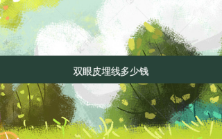 双眼皮埋线多少钱