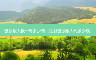 玻尿酸大概一针多少钱（注射玻尿酸大约多少钱）