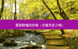 紧肤除皱的价格（去皱术多少钱）