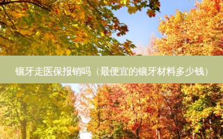 镶牙走医保报销吗（便宜的镶牙材料多少钱）