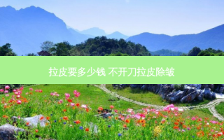 拉皮要多少钱 不开刀拉皮除皱