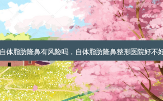 自体脂肪隆鼻有风险吗，自体脂肪隆鼻整形医院好不好