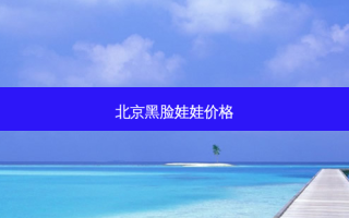 北京黑脸娃娃价格