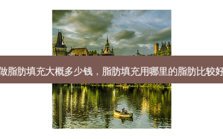 做脂肪填充大概多少钱，脂肪填充用哪里的脂肪比较好