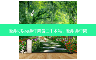 隆鼻可以做鼻中隔偏曲手术吗，隆鼻 鼻中隔