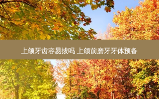 上颌牙齿容易拔吗 上颌前磨牙牙体预备