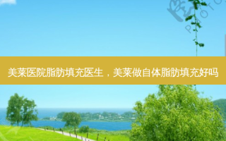 美莱医院脂肪填充医生，美莱做自体脂肪填充好吗