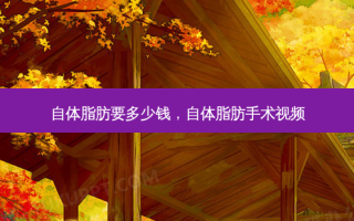 自体脂肪要多少钱，自体脂肪手术视频