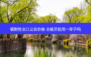 吸附性全口义齿价格 全瓷牙能用一辈子吗