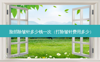脸部除皱针多少钱一次（打除皱针费用多少）