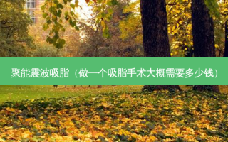 聚能震波吸脂（做一个吸脂手术大概需要多少钱）
