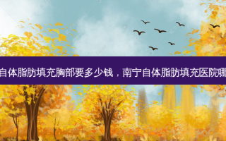 南宁自体脂肪填充胸部要多少钱，南宁自体脂肪填充医院哪里好