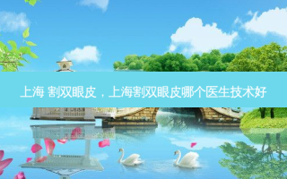 上海 割双眼皮，上海割双眼皮哪个医生技术好