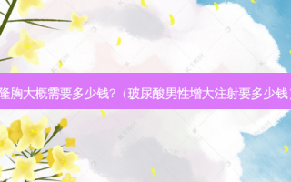 隆胸大概需要多少钱?（玻尿酸男性增大注射要多少钱）