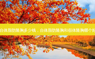 自体脂肪隆胸多少钱，自体脂肪隆胸和假体隆胸哪个好