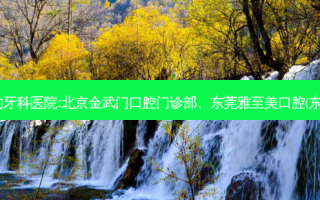国内排名前3的牙科医院:北京金武门口腔门诊部、东莞雅至美口腔(东坑店)上榜多年