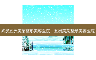 武汉五洲美莱整形美容医院，五洲美莱整形美容医院