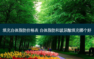 填充自体脂肪价格表 自体脂肪和玻尿酸填充哪个好