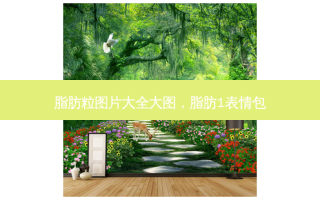 脂肪粒图片大全大图，脂肪1表情包