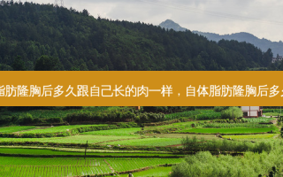 自体脂肪隆胸后多久跟自己长的肉一样，自体脂肪隆胸后多久不疼