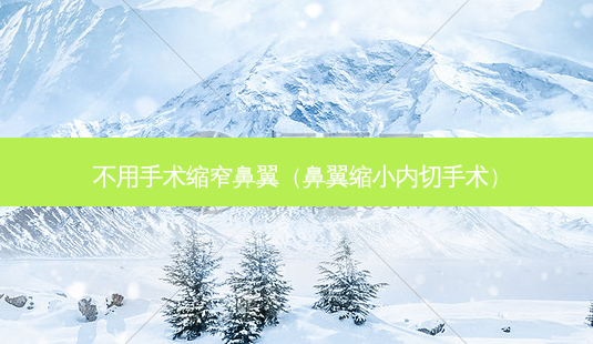 不用手术缩窄鼻翼（鼻翼缩小内切手术）-第1张图片-容颜志 - 专注变美资讯