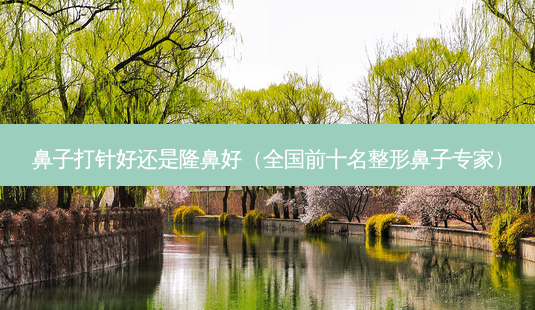 鼻子打针好还是隆鼻好(全国前十名整形鼻子专家)-第1张图片-容颜志 - 专注变美资讯 鼻子打针好还是隆鼻好(全国前十名整形鼻子专家)-第1张图片-容颜志 - 专注变美资讯