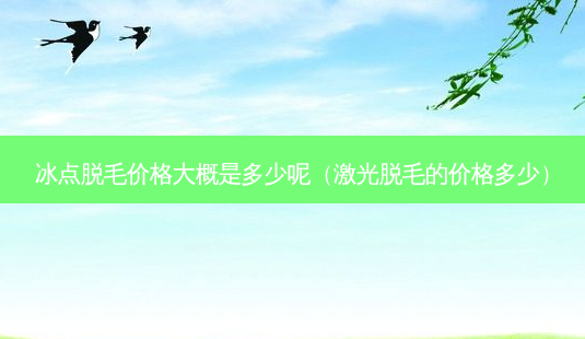 冰点脱毛价格大概是多少呢（激光脱毛的价格多少）-第1张图片-容颜志 - 专注变美资讯
