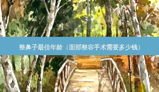 整鼻子佳年龄(面部整容手术需要多少钱)-第1张图片-容颜志 - 专注变美资讯 整鼻子佳年龄(面部整容手术需要多少钱)-第1张图片-容颜志 - 专注变美资讯