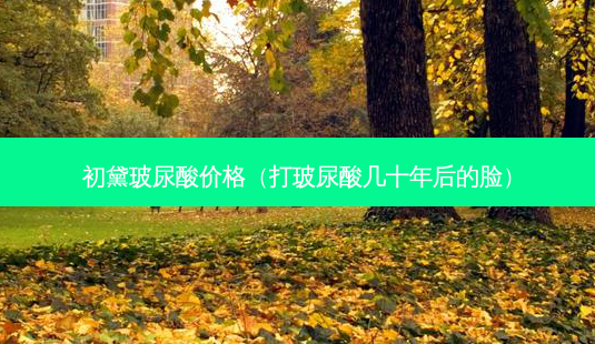 初黛玻尿酸价格（打玻尿酸几十年后的脸）-第1张图片-容颜志 - 专注变美资讯