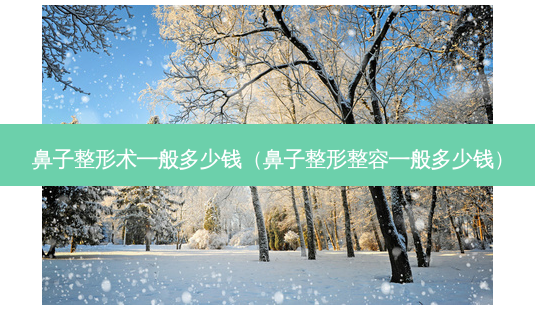 鼻子整形术一般多少钱（鼻子整形整容一般多少钱）-第1张图片-容颜志 - 专注变美资讯