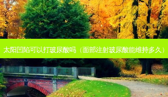 太阳凹陷可以打玻尿酸吗（面部注射玻尿酸能维持多久）-第1张图片-容颜志 - 专注变美资讯