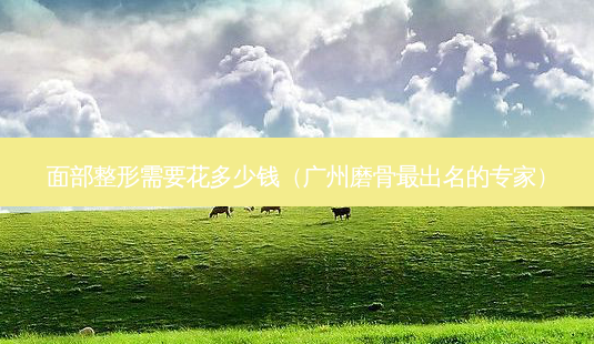 面部整形需要花多少钱（广州磨骨出名的专家）-第1张图片-容颜志 - 专注变美资讯