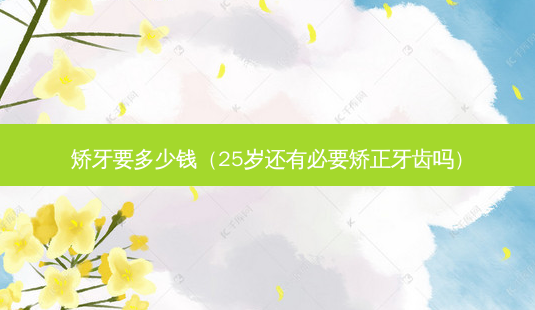 矫牙要多少钱(25岁还有必要矫正牙齿吗)-第1张图片-容颜志 - 专注变美资讯 矫牙要多少钱(25岁还有必要矫正牙齿吗)-第1张图片-容颜志 - 专注变美资讯